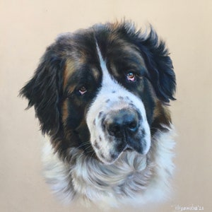 Dierenportret | Aangepaste huisdier portret | Pasteltekening | Huisdierportret op maat | Hondenportret | Pastelkleurig dierenportret | Aangepaste hondenportret