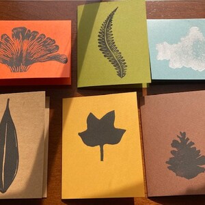 Woodland Sampler - Carte 6pk