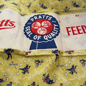 Vintage novelty feedsack-still a HUGE sack!