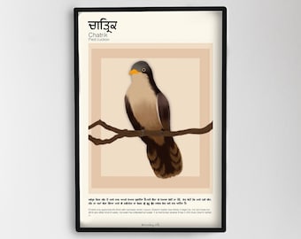 Chatrik Druck | Punjabi Rattenkuckuck Vogel Kunst (Digitaler Download)