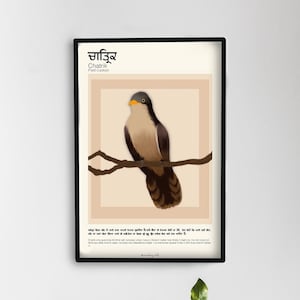 Punjabi bird art | Chatrik | Pied cuckoo bird | Punjabi wall art | Instant download