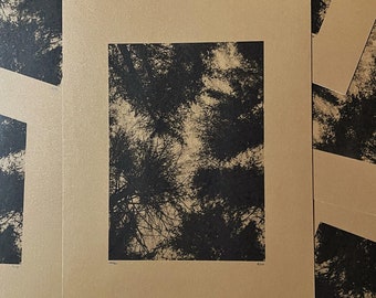 Risograph Photograph Print Series: Pine Trees on Gold Shimmer Paper