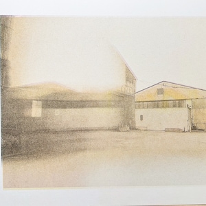 Risograph Print Photography Series: Architectural Doubles