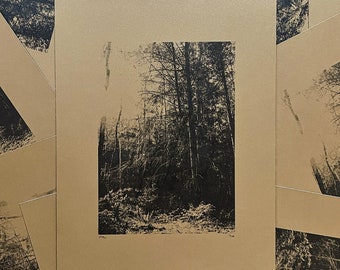 Risograph Photograph Print Series: Forest Trees on Gold Shimmer Paper