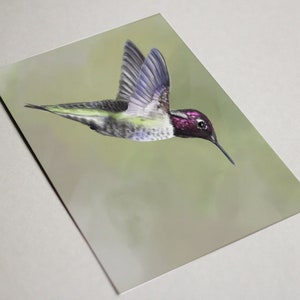 Pack 2 cards Hummingbird Elegant art print A5 Illustration wall decoration wall art poster women art original art image 3