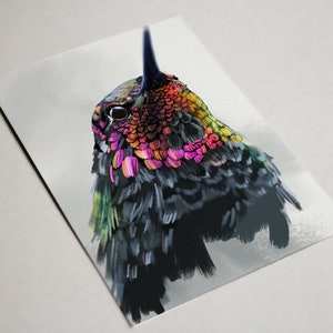 May include: A close-up of a hummingbird with iridescent feathers in shades of pink, green, yellow, and orange. The bird's head is turned to the side, and its eye is visible. The background is a soft, white blur.