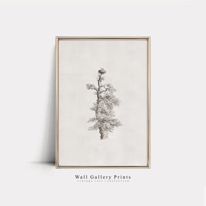 Rustic Tree Sketch | Vintage Farm House Decor | PRINTABLE Digital Art #277S