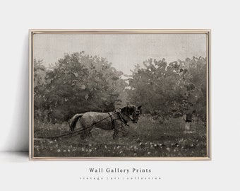 May include: A black and white watercolour painting of a horse pulling a plough through a field. The horse is in the foreground, and the field is surrounded by trees. The painting has a vintage feel.