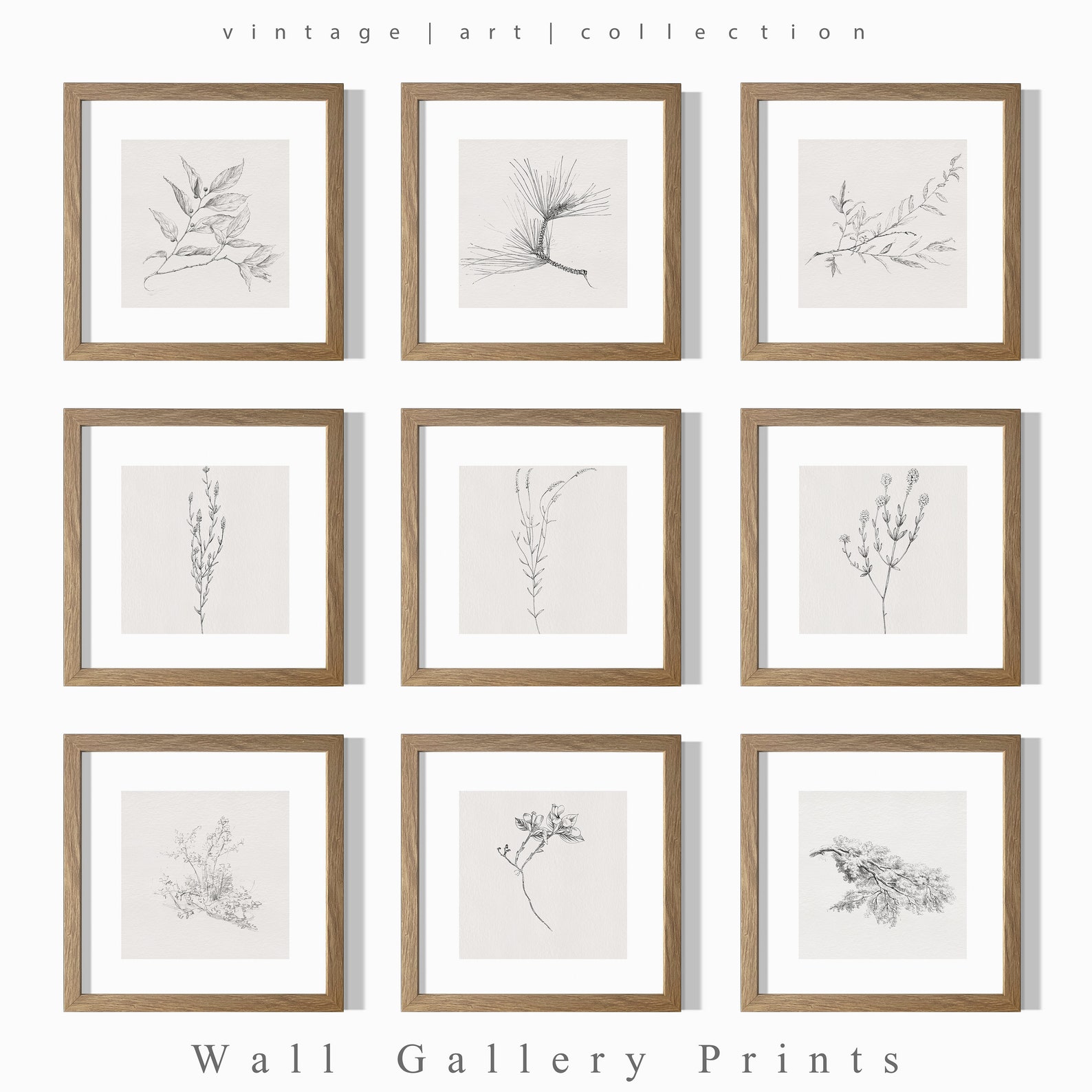 Vintage Branch Sketch SET | Botanical Drawing Country Home Decor ...
