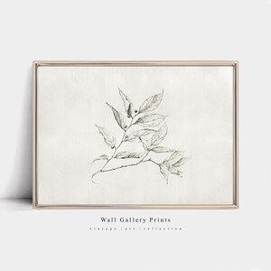Vintage Leaf Sketch | Antique Farmhouse Decor | PRINTABLE Digital Art #075P