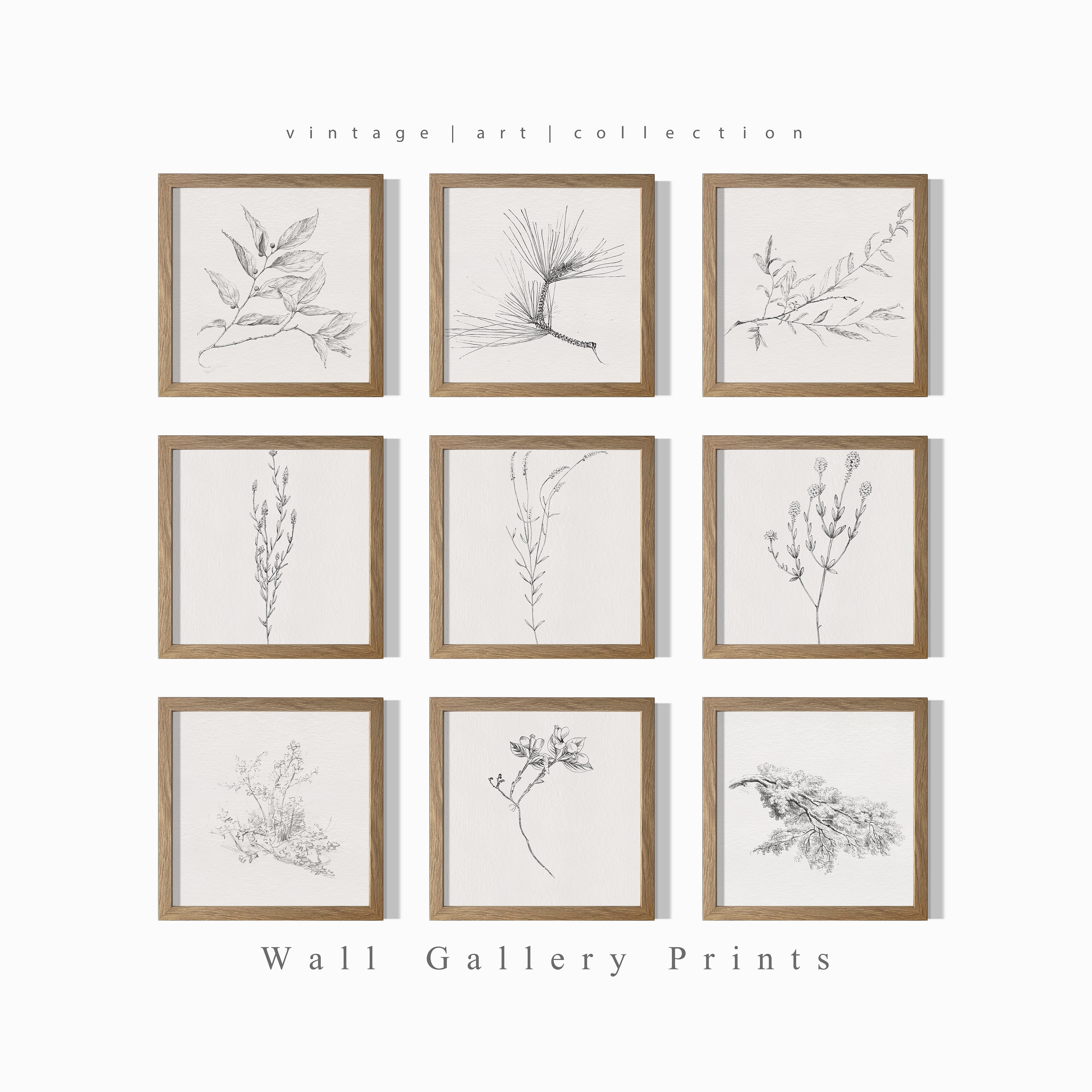 Vintage Branch Sketch SET | Botanical Drawing Country Home Decor ...