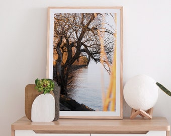 Autumn Headland Dunes Archival Photo Print, Art, Home Decor, Wall Decor, Color Print, Nature Photography, Ohio Landscapes