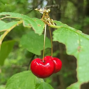Handmade red cherry clay earrings