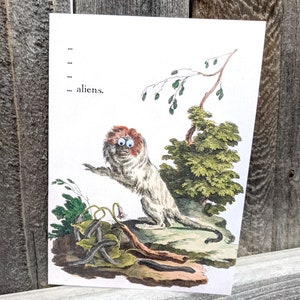 May include: A vintage illustration of a monkey with googly eyes, sitting on a rock with green foliage and vines. The text "... aliens." is printed below the monkey.