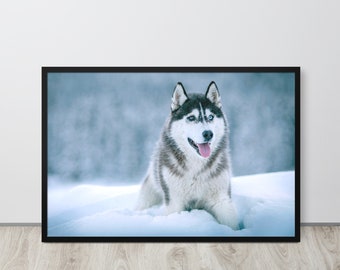 Alaskan Malamute posa nella foresta innevata - Poster incorniciato per fotografie ad alta risoluzione - Opzioni di dimensioni multiple