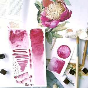 May include: A watercolor paint swatch card with the word "Bordo" printed on it. The card shows different shades of red watercolor paint, including a gradient from light to dark. The card is on a white surface with a brush and other watercolor paint swatches.