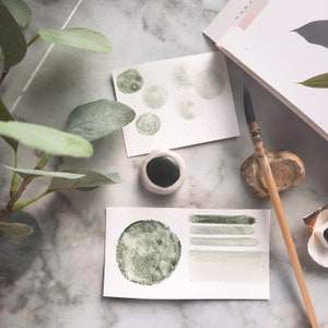Eucalyptus/ceramic pot/half pan/green shade/vegan watercolor