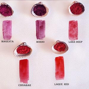 May include: Five different shades of red pigment in seashells, with a painted swatch of each colour below. The colours are Magenta, Bordo, Lake Deep, Cinnabar, and Laque Red.