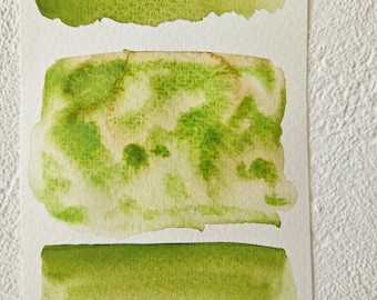 Peut inclure: Trois échantillons de peinture aquarelle de différentes nuances de vert. L'échantillon du haut est un vert clair, l'échantillon du milieu est un vert foncé avec une teinte jaune, et l'échantillon du bas est un vert moyen.