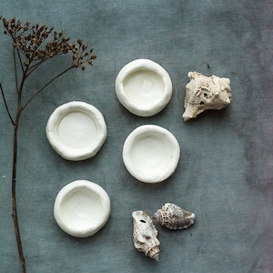 Può includere: Quattro ciotole in ceramica bianca con un bordo leggermente rialzato, disposte a semicerchio su una superficie blu-grigia. Due conchiglie sono posizionate sotto le ciotole, una con un motivo marrone e bianco e l'altra con un motivo bianco e marrone. Un gambo di pianta secca con foglie marroni si trova nell'angolo in alto a sinistra dell'immagine.