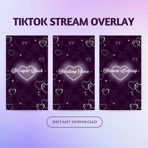 TikTok Stream Overlay Package,Lofi Purple Pink Stream Scene,Fantasy Tiktok Stream,Purple Goth Animated Vertical Live Overlay,Aesthetic scene