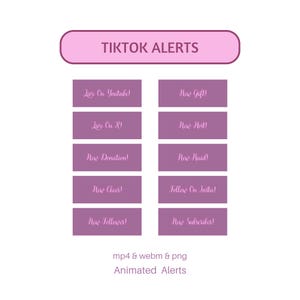 K&ouml;nnte beinhalten: Grafik mit dem Text "TIKTOK ALERTS" in einem rosa abgerundeten Rechteck. Darunter lila Rechtecke mit wei&szlig;em Text, darunter "Live On Youtube!", "New Gift!" und "Follow On Insta!". Der Text unten lautet "mp4 & webm & png Animated Alerts".