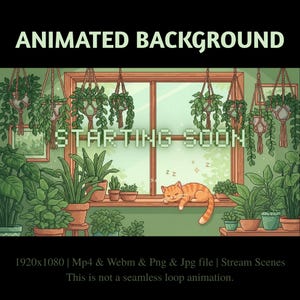 Botanical Cat Stream Screen: Cozy Animated Twitch Background(Digital Download)