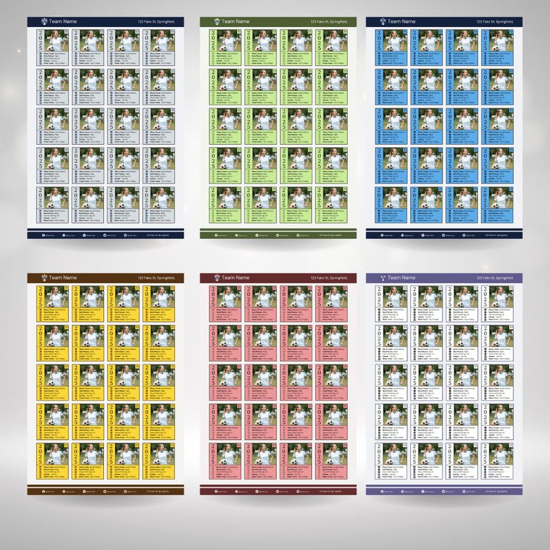 Travel Ball Roster Template: Customizable Athlete Profiles (canva PDF ...