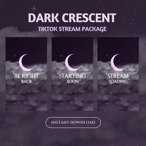 Dark Celestial Moon TikTok Stream Overlay Package,Dark Crescent Stream Scene,Dark Purple Lofi Tiktok Stream,Dark Night Animated Live Overlay