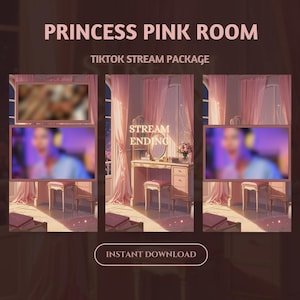 Princess Pink Room TikTok Live Overlay: Kawaii Animated Stream Scenes (PDF File)