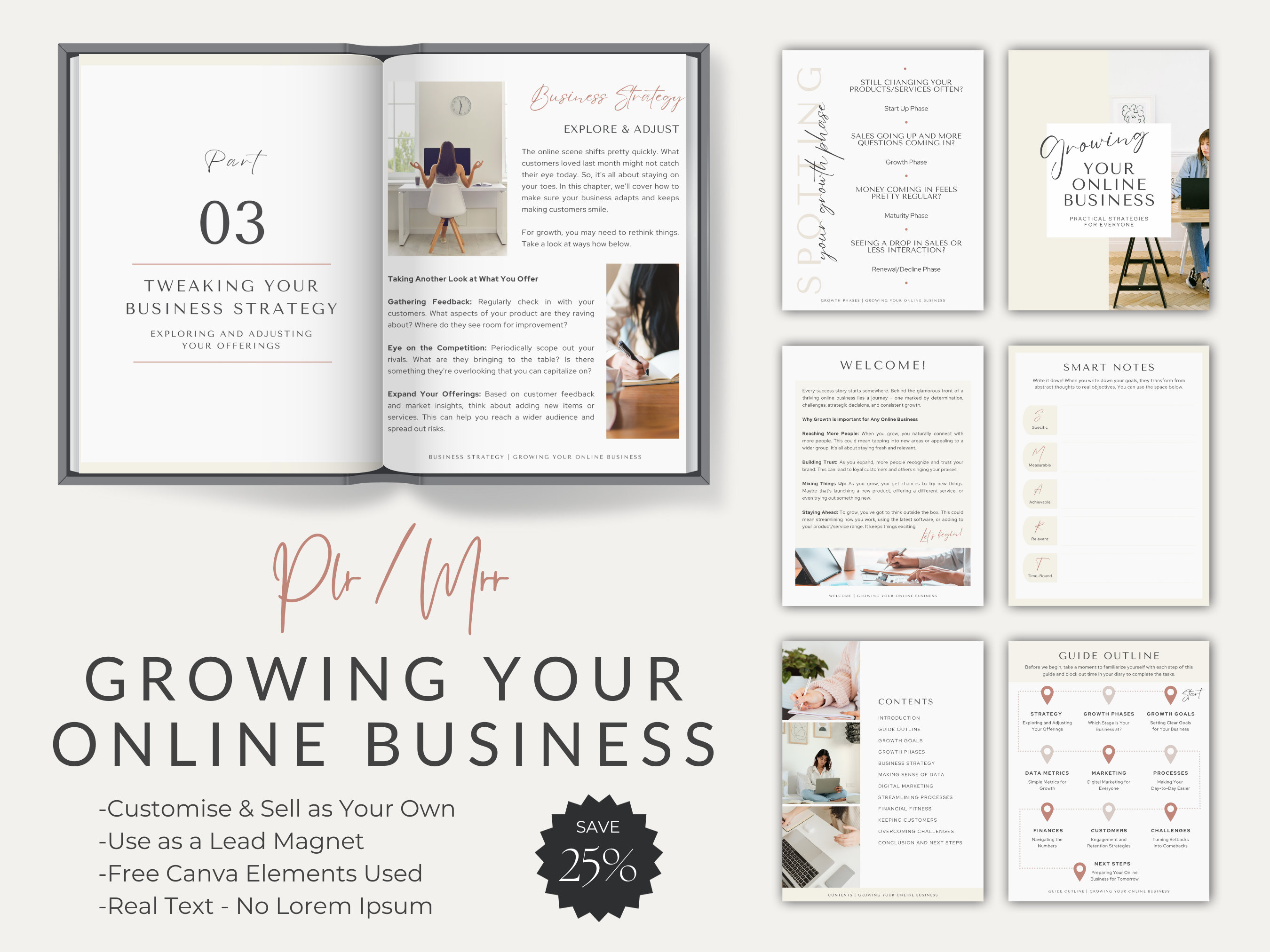 PLR Master Resell Canva Ebook Bundle | Business Guide | Canva Template ...