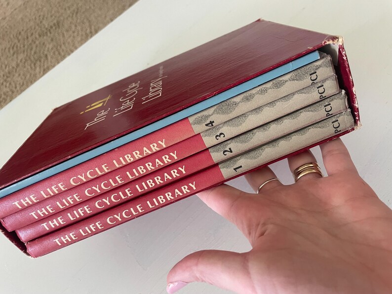 Vintage Life Cycle Library 4-volume Set With Workbook and Box (1969) - Etsy