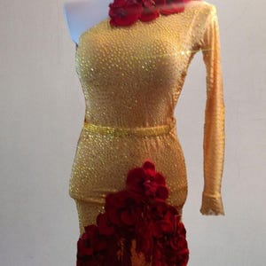 Nikita Latin Dress