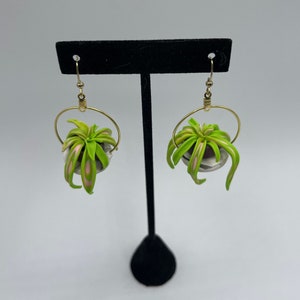 Pendientes colgantes de plantas, regalo de amante de las plantas, pendientes de estilo boho, pendientes de planta en la maceta, pendientes de arcilla polimérica vegetal