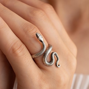 May include: A silver snake ring with a detailed textured design. The snake is coiled around the finger and has its head raised.