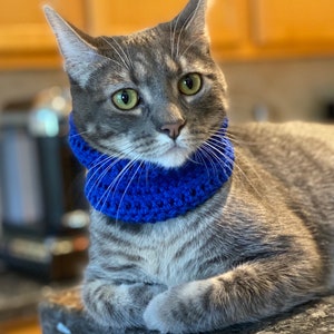 Puede incluir: Un gato atigrado gris con un collar de ganchillo azul. El gato está tumbado sobre una superficie oscura.