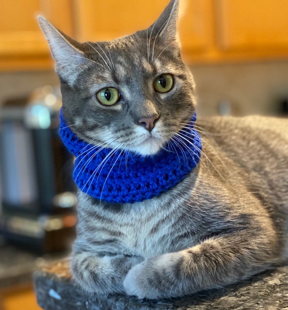 Scarves for sales cats