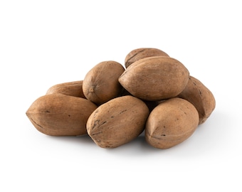 Raw Unshelled Pecans – Whole, Unsalted, Buttery Taste