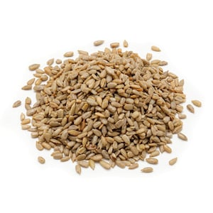 NUTS U.S. – Sunflower Seeds | Roasted and Sea-Salted | No Added Colors and No Artificial Flavors | Packed and Grown In USA- 2 LBS