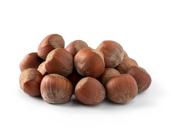 Oregon Hazelnuts In Shell – Raw, Unsalted, Non-GMO