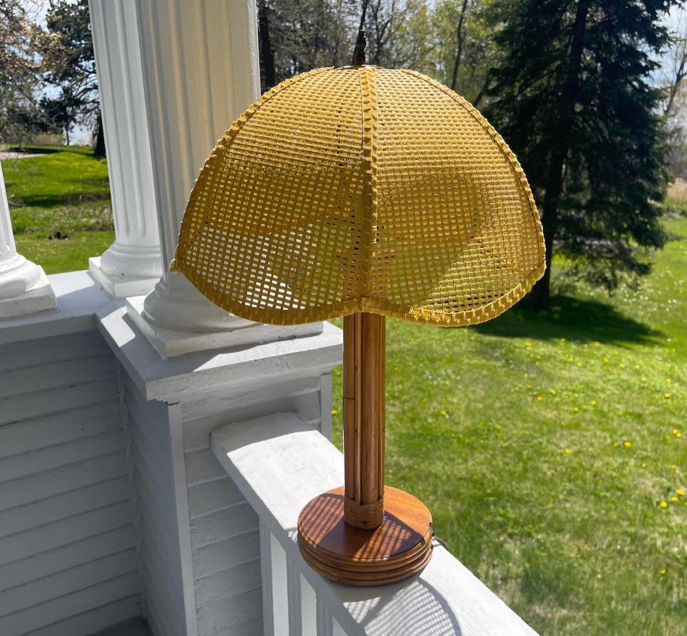 1950s Lamp Shade - Etsy