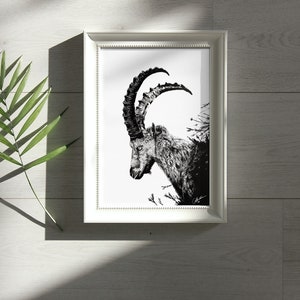 Capricorn Ink Drawing Fine Art Print Capricorn Ink Drawing Art Print image 1