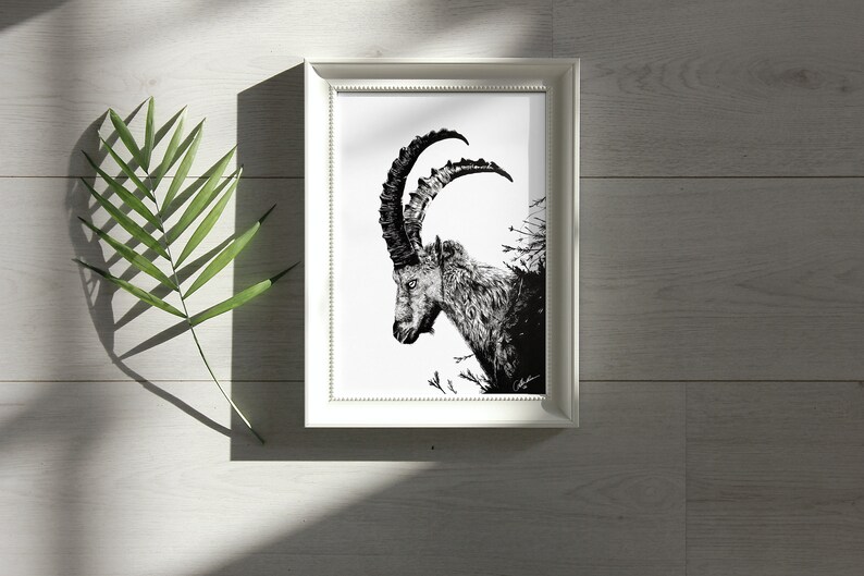 Capricorn Ink Drawing Fine Art Print Capricorn Ink Drawing Art Print image 1