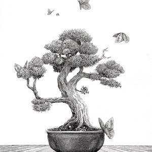 Bonsai Ink Drawing Tuschezeichnung Fine Art Print Bild 1