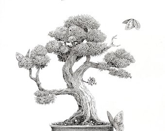 Bonsai & Butterflies  Schwarz-Wei Kunstdruck 3040 cm | Tuschezeichnung |  Botanische Kunst | Fine Line Illustration | Zen Wall Art - Etsy.de