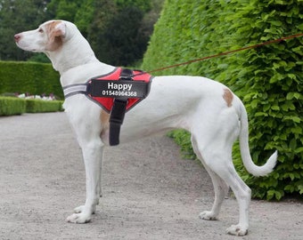 service animal jacket