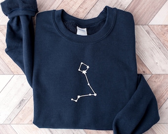 Embroidered Pisces Sweatshirt: Astrology Zodiac Hoodie