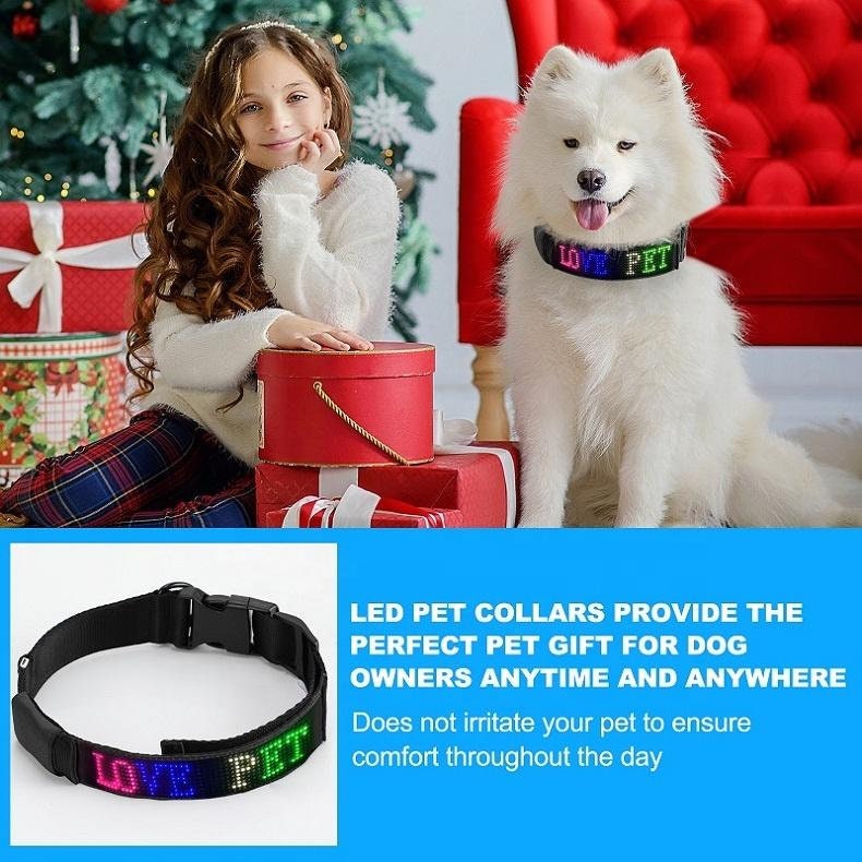 LED Custom Dog Collar