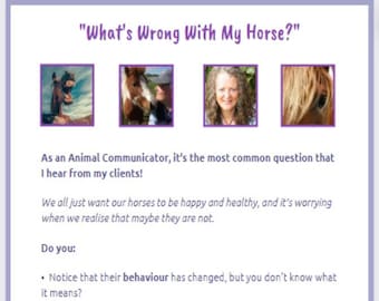 Figure out what's wrong with your horse - 11 page pdf