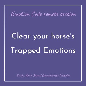 May include: A purple square graphic with white text that reads "Emotion Code remote session" and "Clear your horse's Trapped Emotions." The text "Trisha Wren, Animal Communicator & Healer" is at the bottom.